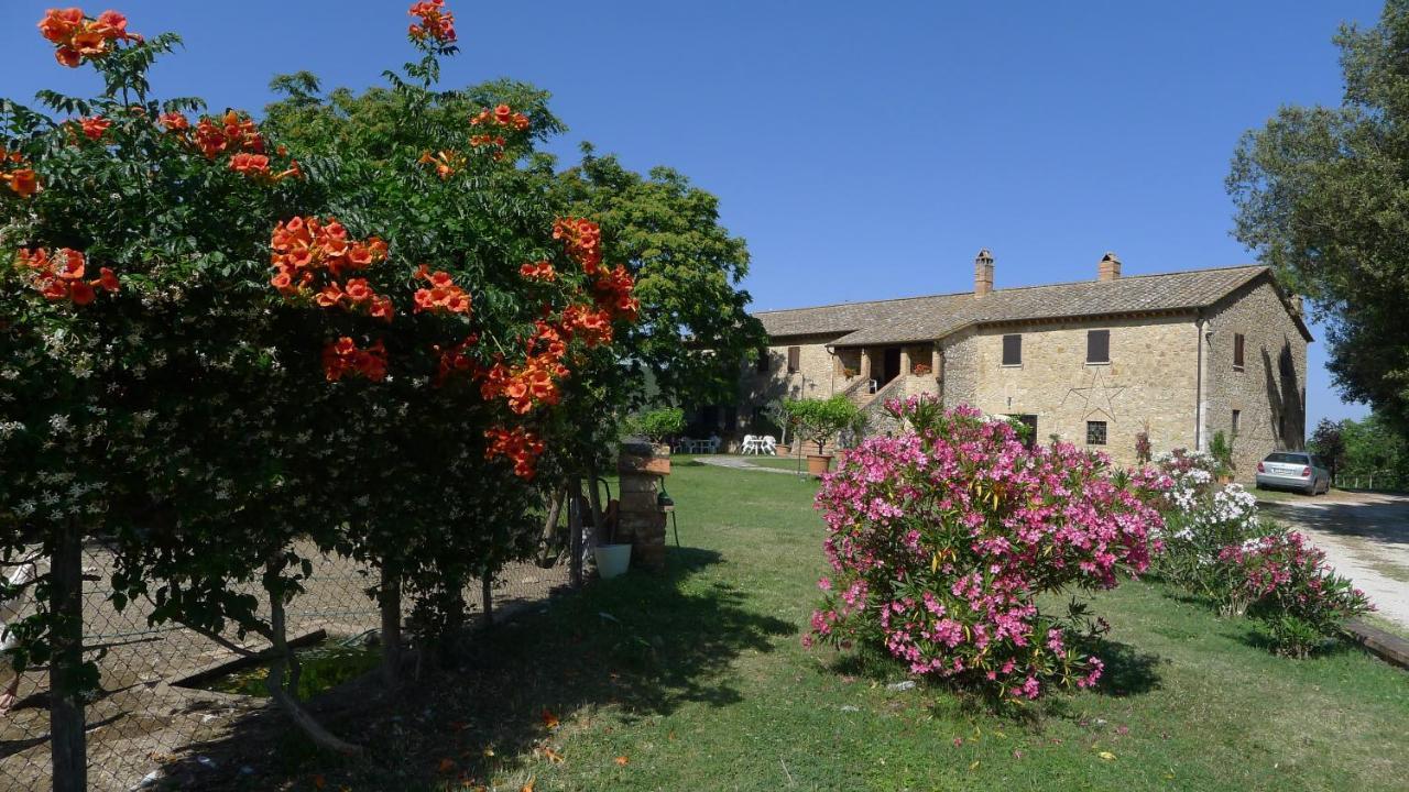 Agriturismo Podere Luchiano Amelia Extérieur photo