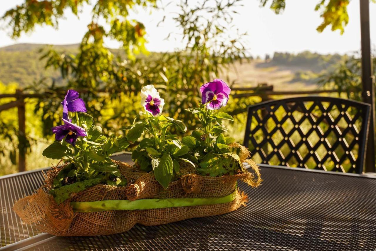 Agriturismo Podere Luchiano Amelia Extérieur photo