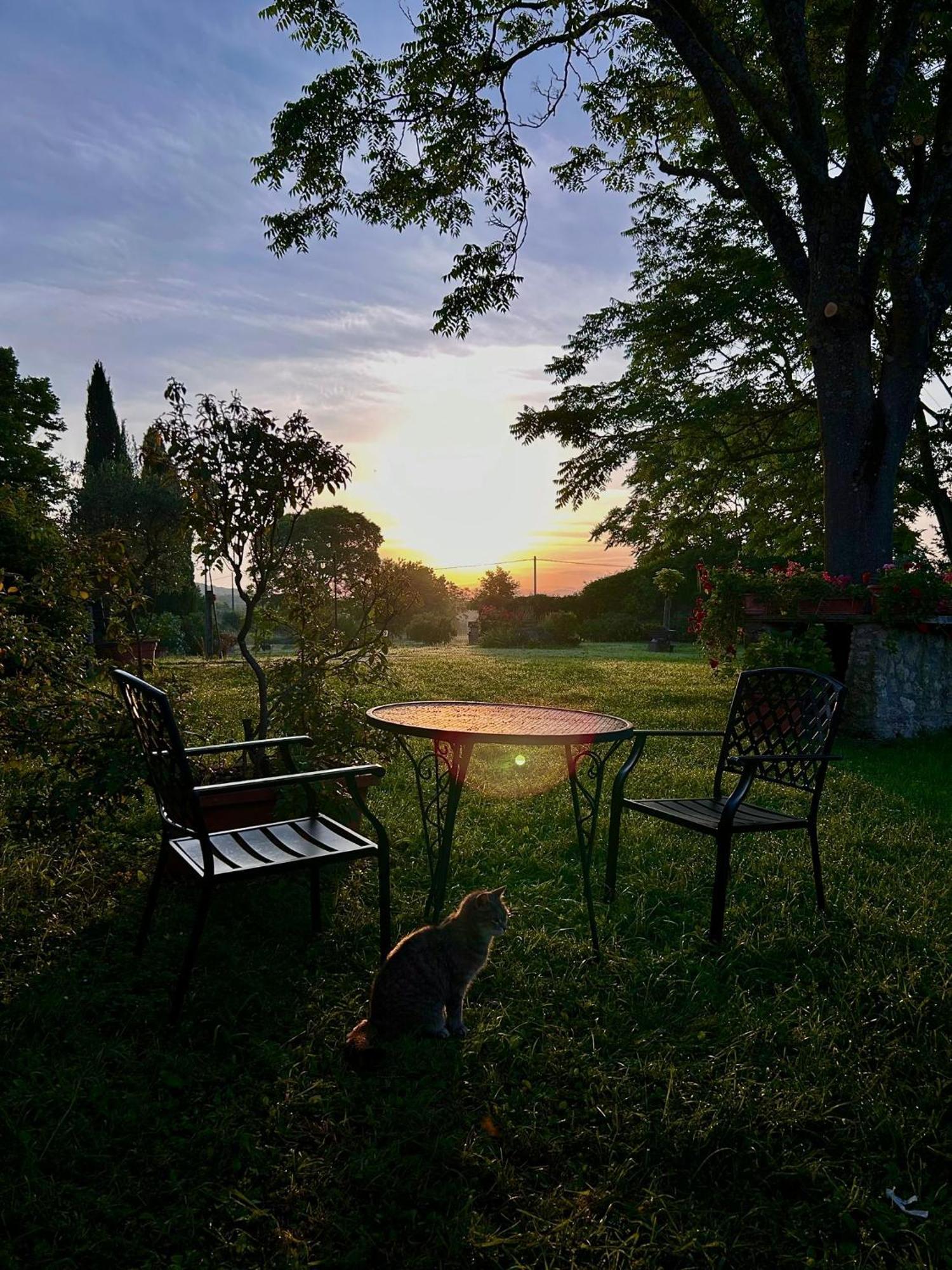 Agriturismo Podere Luchiano Amelia Extérieur photo