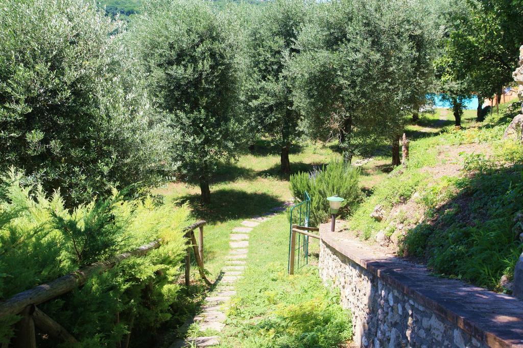 Agriturismo Podere Luchiano Amelia Extérieur photo