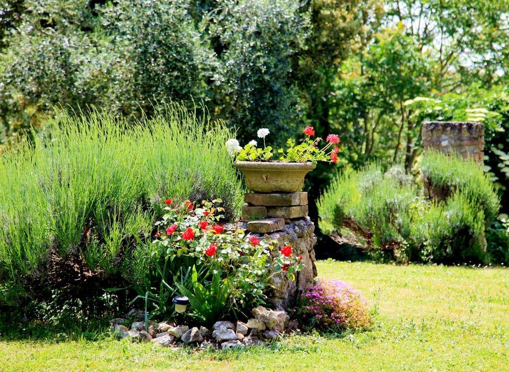 Agriturismo Podere Luchiano Amelia Extérieur photo